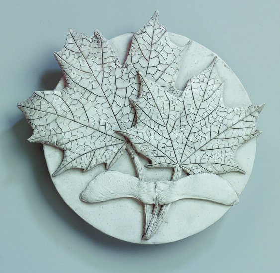 Sugar Maple
