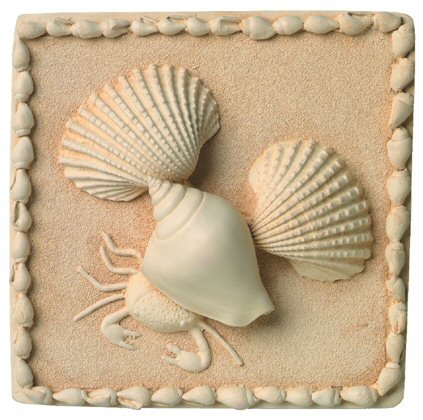Sea Shells