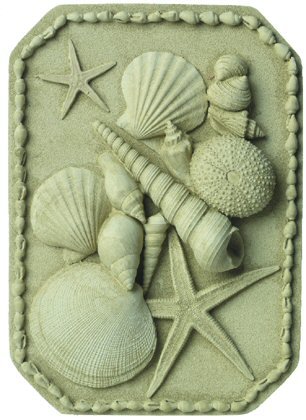 Starfish