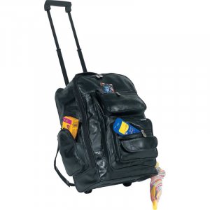 Leather Backpack/Cart