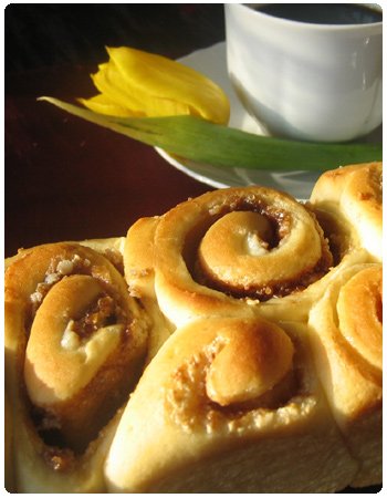 Cinnamon Sweet