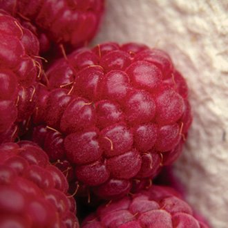 Sweet Fruit