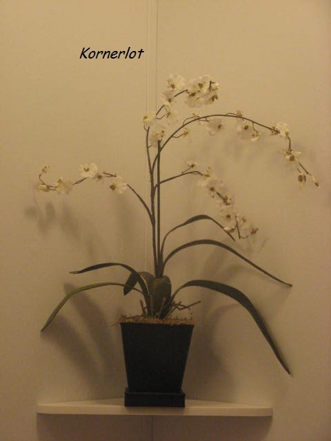 White Fabric Orchids