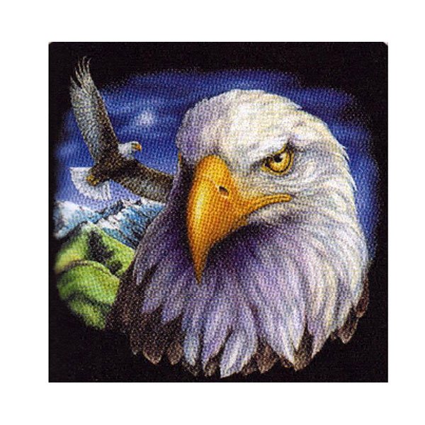 Large American Bald Eagle Head Flying Queen Mink Style Blanket