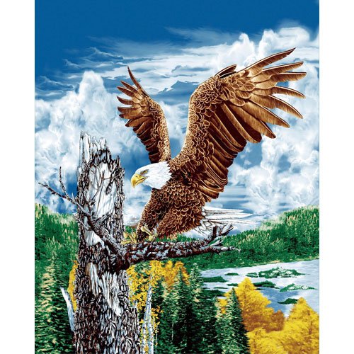 American Eagle Bird Colorful Sky Trees Water Queen Mink Style Blanket