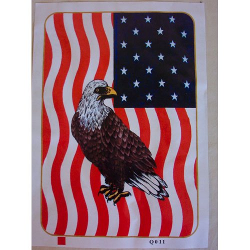 Bald Eagle American Flag Queen Mink Style Blanket Wild Bird Animal Cover
