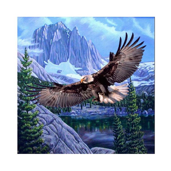 Flying American Eagle Bird Mountains Trees Colorful Queen Mink Style Blanket
