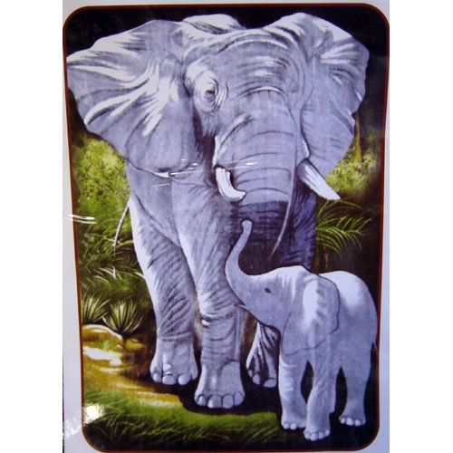Mother Baby Elephant Wild Animal Queen Mink Style Blanket