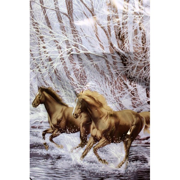 Running Wild Animal Horses Winter Snow White Brown Color Queen Mink Style Blanket