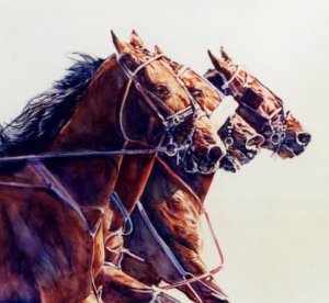 Horses - Cross Stitch Patterns &amp; Kits (Page 3)