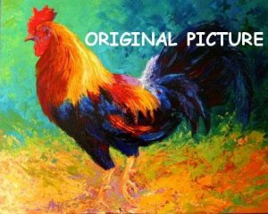 rooster cross stitch pattern | eBay - Electronics, Cars, Fashion