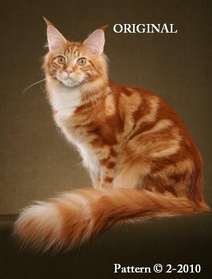 'Sunny' ~ Maine Coon Cross Stitch Pattern Cats ~ETP~