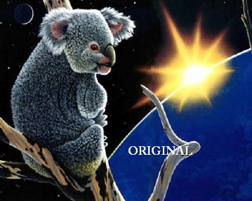 Cuddly Koala Cross Stitch Pattern Bears Australia ETP