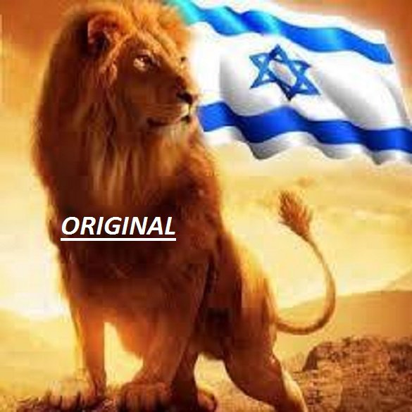 Israel ~ Lion of Judah... ~Counted~ Cross Stitch Pattern ETP