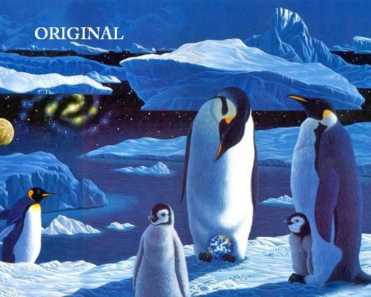 Penguin Universe COUNTED Cross Stitch Pattern ETP
