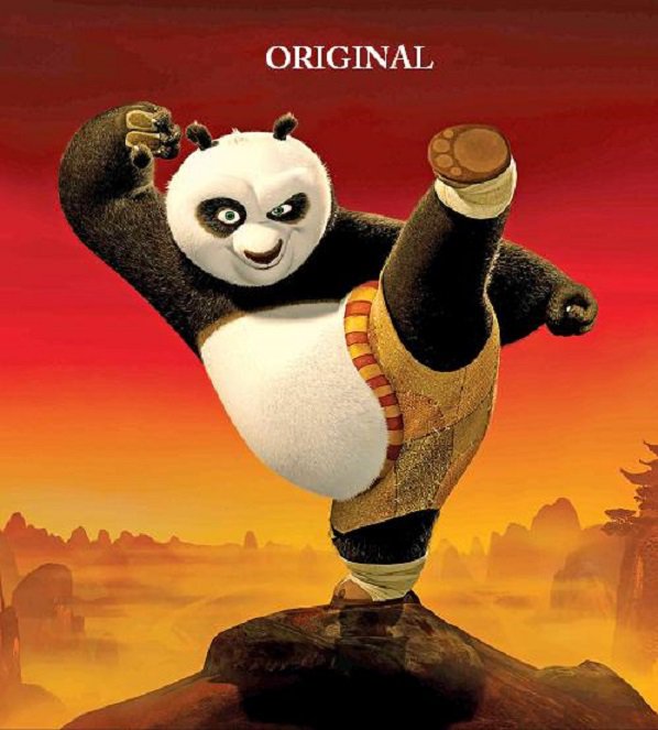 Kung Fu Panda... ~Counted~ Cross Stitch Pattern ETP