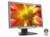 Acer AL2223Wd 22 inch Wide Screen 800:1 5ms DVI LCD Monitor (Silver/Black)