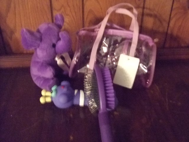 Purple Puppy Accessory Toy Tote