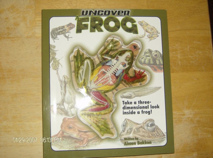 Uncover A Frog