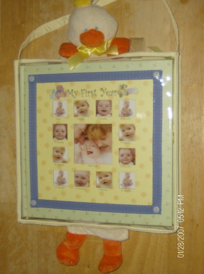 Baby's first year