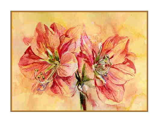 Watercolor Amaryllis Notecards Note cards Set of Eight