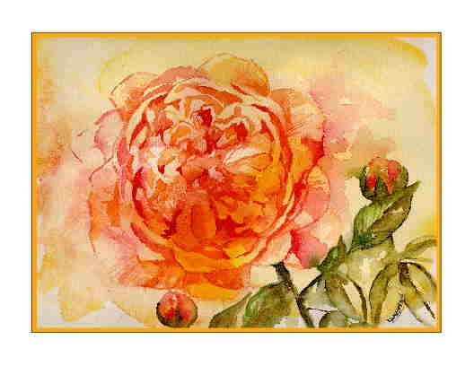 Set of Eight Watercolor English Rose Greeting Cards Notecards Note Cards