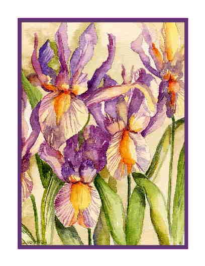 Watercolor Dutch Irises Greeting Note Cards Notecards Set of Eight