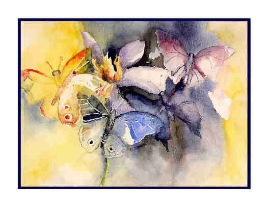 8 Watercolor Butterfly Greeting Note Cards Notecards