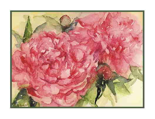 Watercolor Pink Peonies Greeting Note Cards Notecards 8