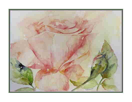 8 Watercolor Pink Rose Greeting Note Cards Notecards