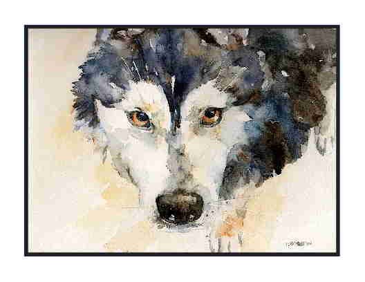 8 Watercolor Eyes of a Siberian Husky Greeting Note Cards Notecards