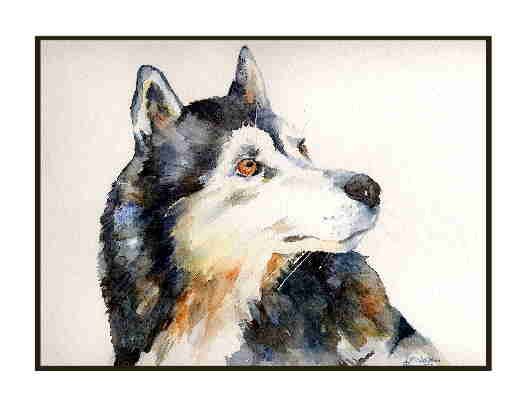 8 Watercolor Siberian Husky Greeting Note Cards Notecards