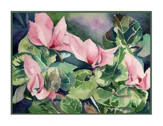 8 Watercolor Cyclamen Flowers Greeting Note Cards Notecards