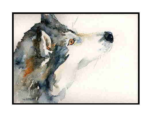 8 Watercolor The Look of a Siberian Husky Greeting Note Cards Notecards
