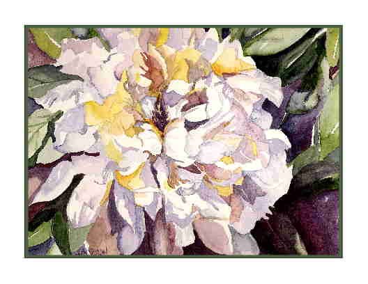 Set of Eight Watercolor Large White Peony Greeting Notecards Note Cards