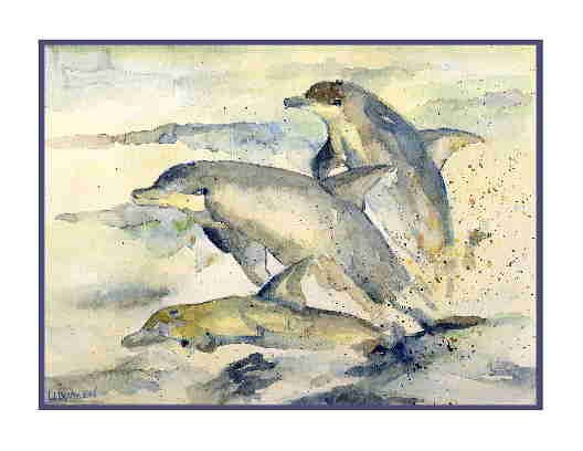 Set of Eight Watercolor Dolphin Greeting Notecards Note Cards