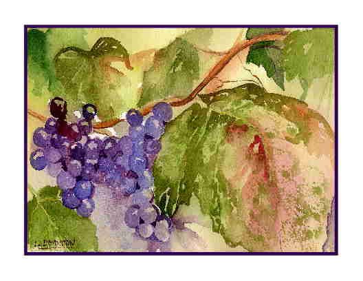 Set of Eight Watercolor Sunripened Grapes Greeting Notecards Note Cards
