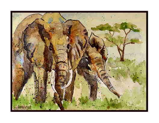 Set of Eight Watercolor African Elephants Greeting Notecards Note Cards