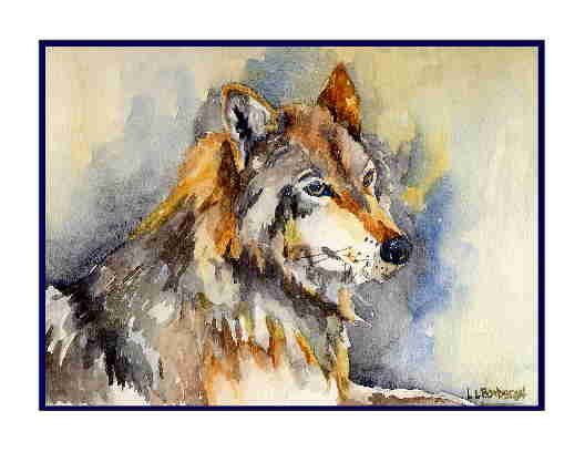 Set of Eight Watercolor Eye of a Wolf Greeting Note Cards Notecards