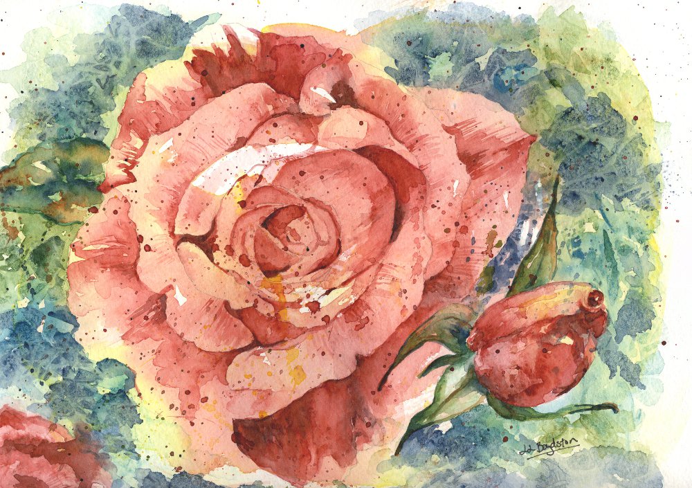 Original Watercolor Face of a Rose Painting