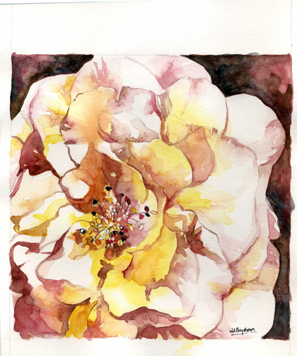 Original Watercolor In Full Bloom Rose Painting