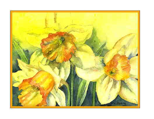 8 Watercolor Fleeting Daffodil Note Cards Notecards
