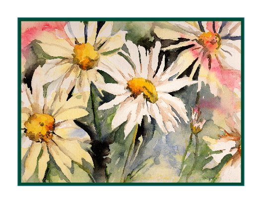 Watercolor 8 Four Daisy Note Cards Notecards