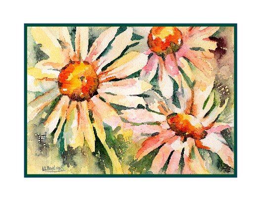 8 Watercolor Daisy Daisies Note Cards Notecards