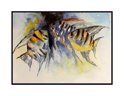 Watercolor Angelfish Cards Notecards