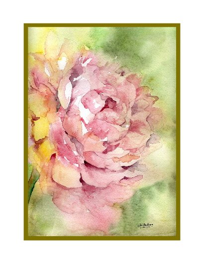 Set of 8 Watercolor Whisper of a Peony Note Cards