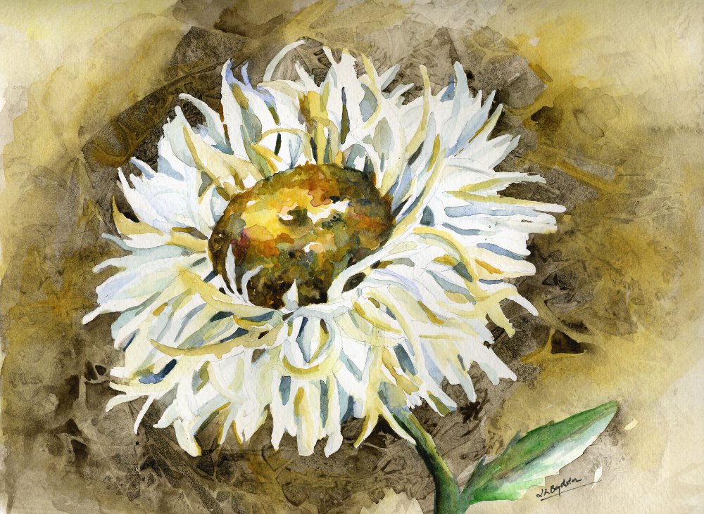 Original Watercolor Shasta Daisy Painting