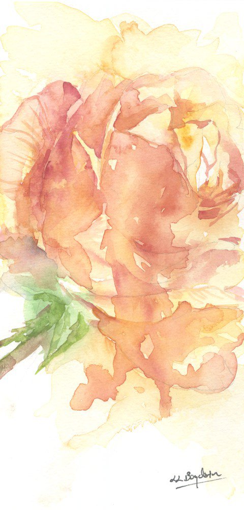 Original Watercolor Apricot Rose Painting