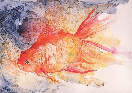 Watercolor Goldfish Giclee Print