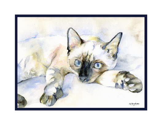 Watercolor Siamese Cat Notecards, Note cards